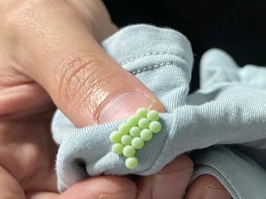 南沙杀虫灭鼠公司分享6个除臭虫的方法