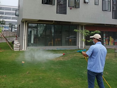 南沙除四害——厂区高效根除蟑螂蚊蝇的方法